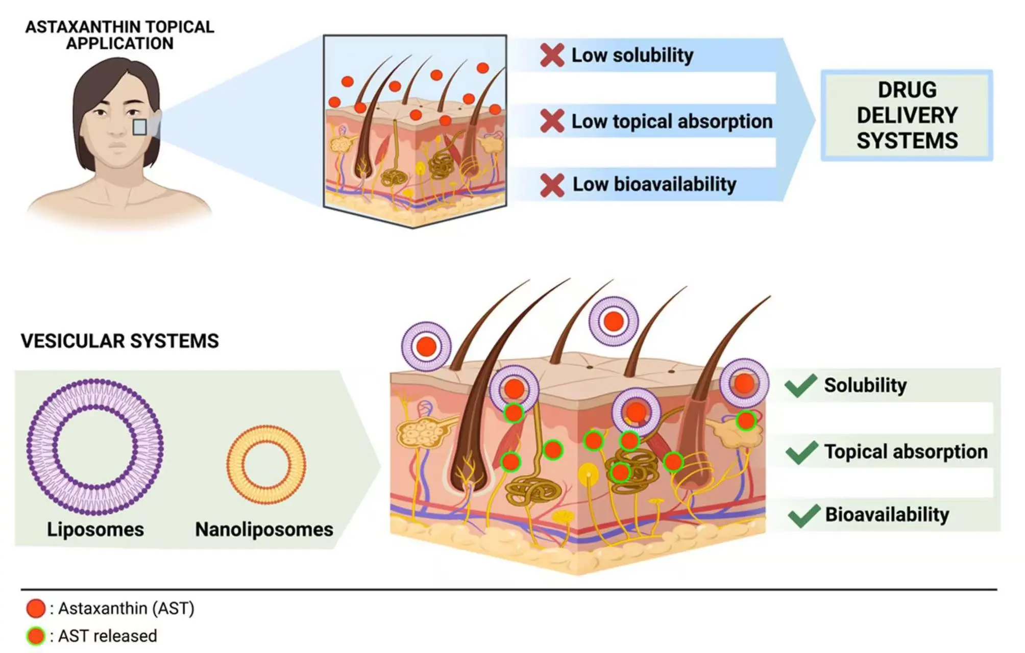 Astaxanthin for Skin Astaxanthin for Skin