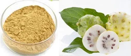 Noni Juice Powder Noni Juice Powder