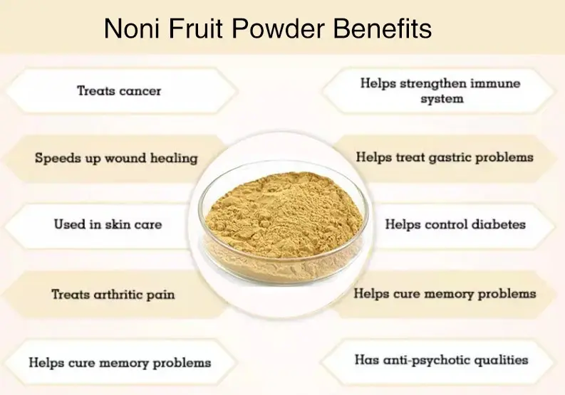 Noni fruit powder benefits Noni fruit powder benefits