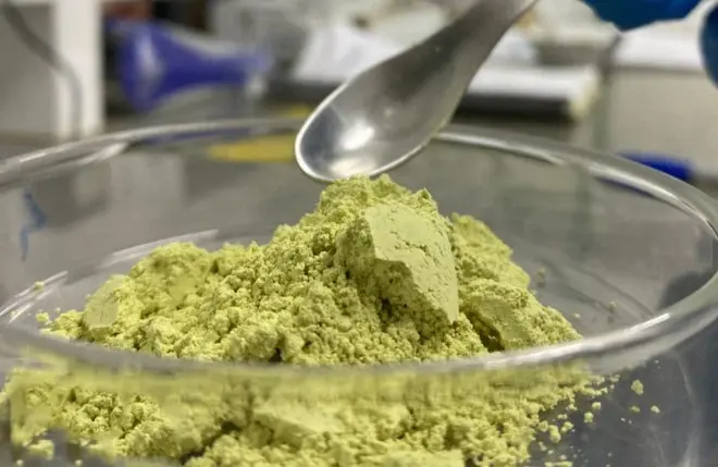 Rutin powder Rutin powder