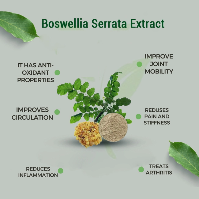Boswellic Acid Boswellia Serrata Extract Powder Benefits Boswellic Acid Boswellia Serrata Extract Powder Benefits