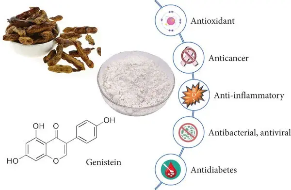 Genistein powder benefits