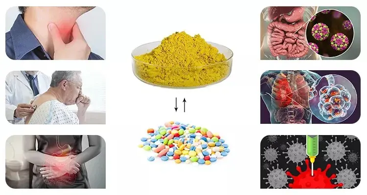 Berberine Extract Powder