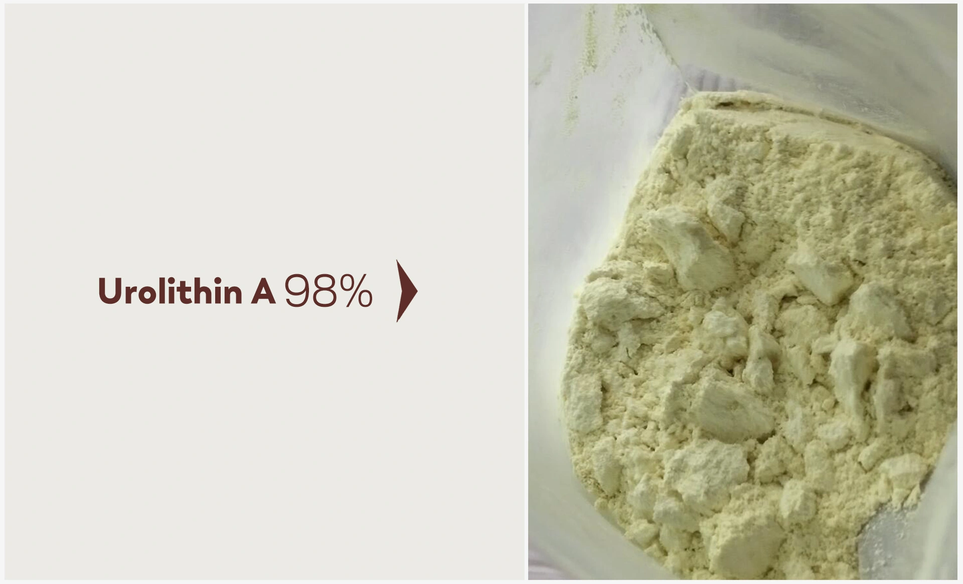 China Urolithin A Powder Manufacturers China Urolithin A Powder Manufacturers