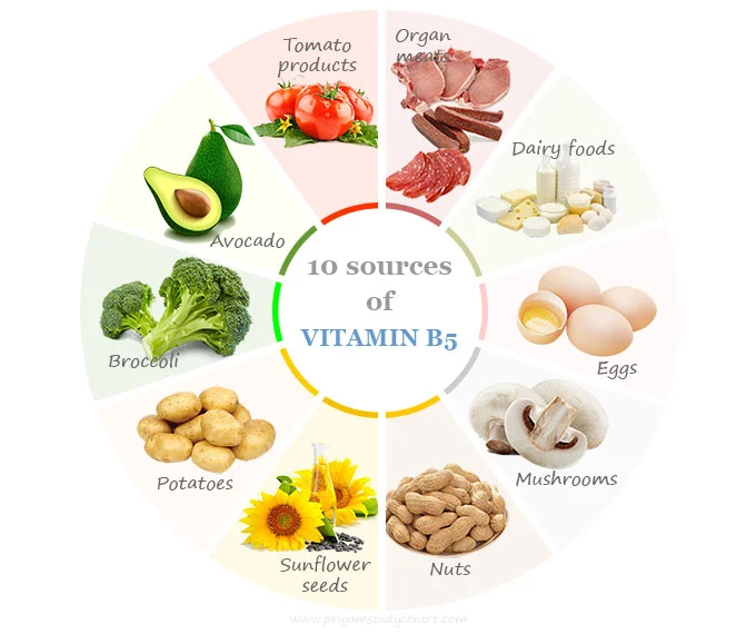 Vitamin B5 - Pantothenic Acid - Vitamin B5 - Pantothenic Acid -