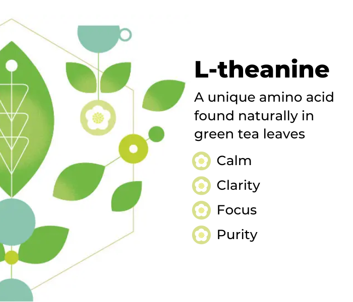 What is L-theanine? What is L-theanine?