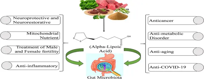 Alpha-Lipoic Acid Antioxidant