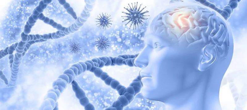 Uridine Monophosphate Improve Sleep Uridine Monophosphate Improve Sleep