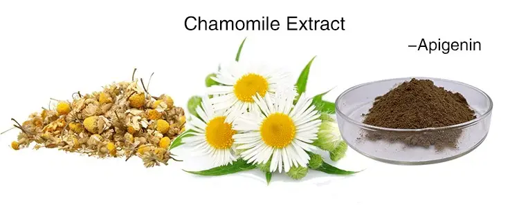 Chamomile extract