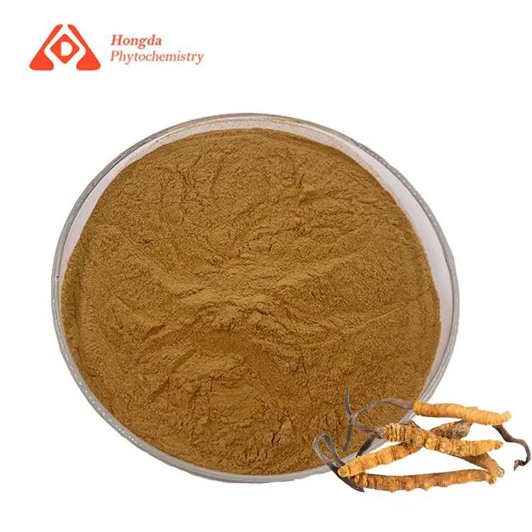 Cordyceps Sinensis Powder
