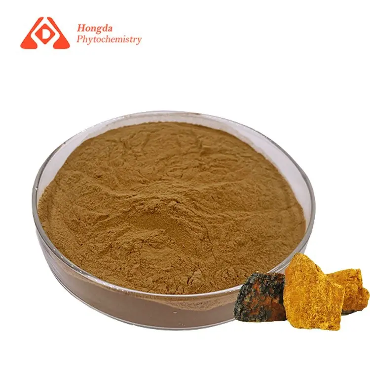 Chaga mushroom extract powder Chaga mushroom extract powder