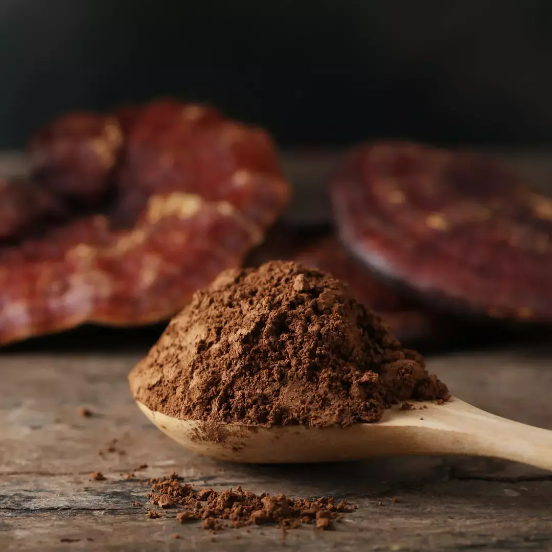 Reishi spore powder