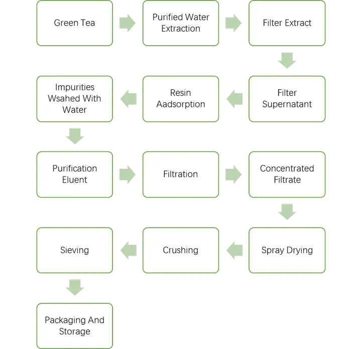 Green Tea Extract Production Process