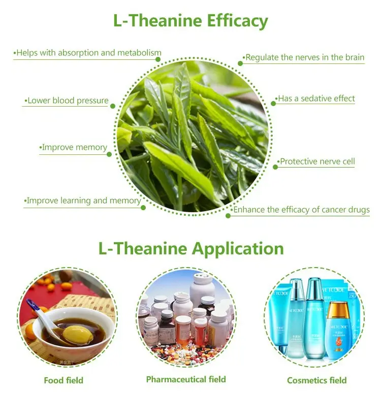 L-Theanine Benefits L-Theanine Benefits
