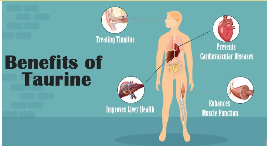 Taurine Benefits: Taurine Benefits: