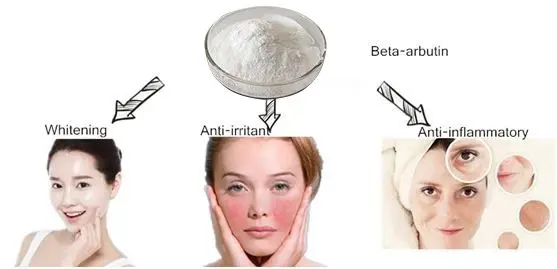 Arbutin Powder Benefits
