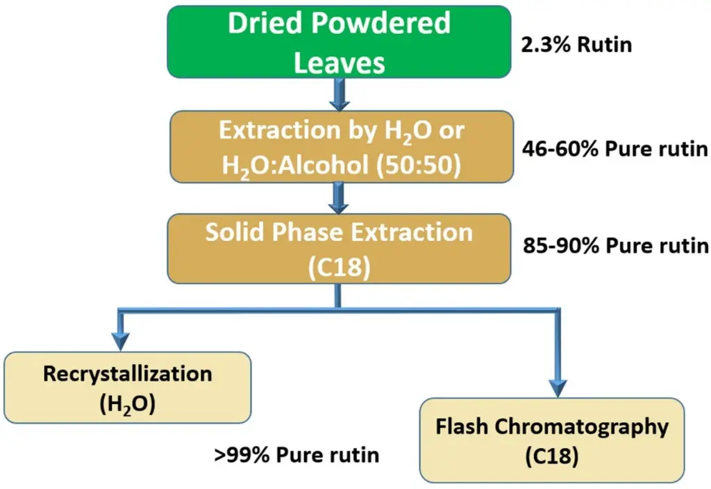 How Is Rutin Extract Processed And Purified? How Is Rutin Extract Processed And Purified?