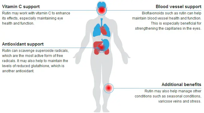Rutin Benefits Rutin Benefits