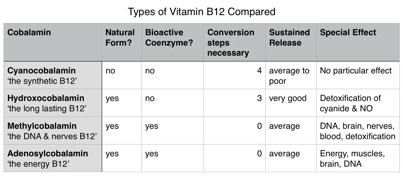 Vitamin B12 Forms Vitamin B12 Forms