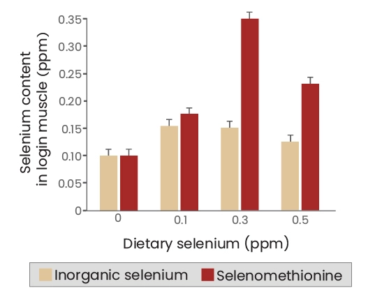 Selenium supplements: Relative bioavailability Selenium supplements: Relative bioavailability