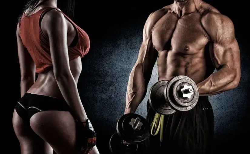 L Leucine For Muscle Growth