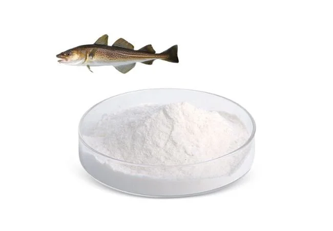 Fish Collagen Peptide Powder
