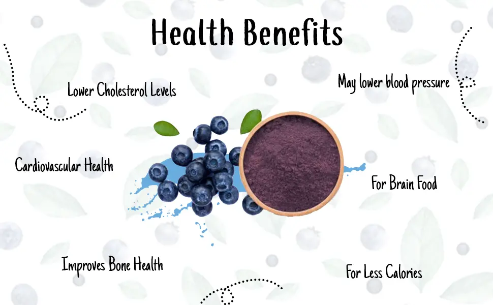 blueberry powder health benefits blueberry powder health benefits