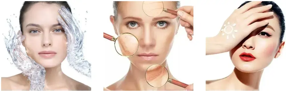 Ectoin 99% White powder 