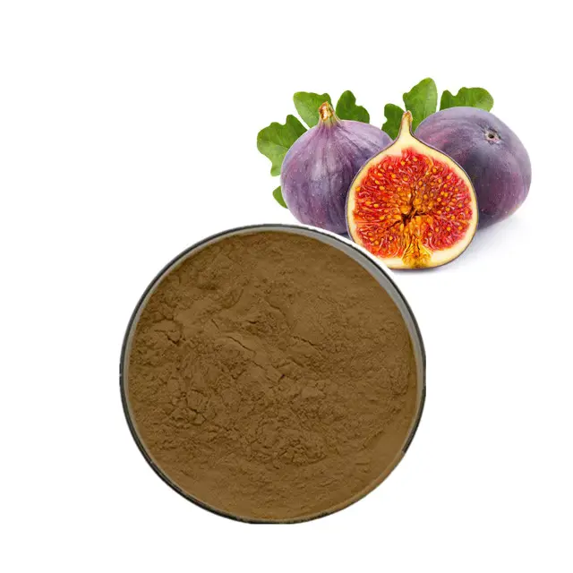 Source Manufacturer Supply Fig Fruit Ficus carica L Extract Powder Source Manufacturer Supply Fig Fruit Ficus carica L Extract Powder