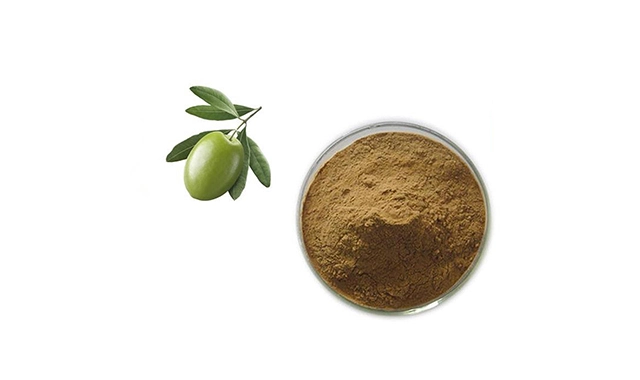 olive leaf extract olive leaf extract
