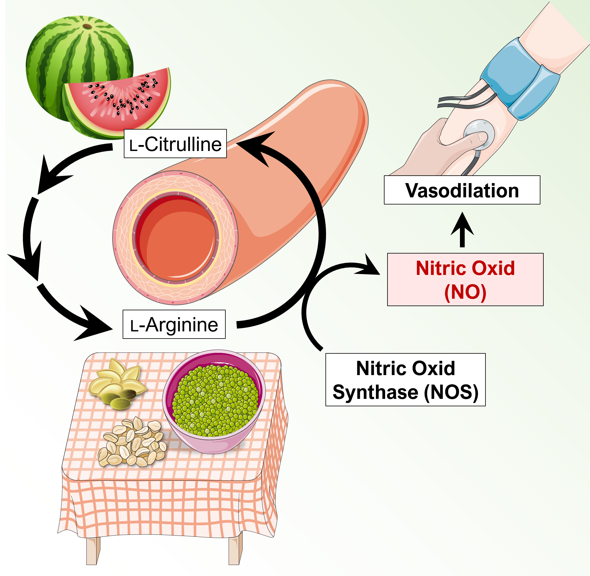 l arginine powder good for blood pressure