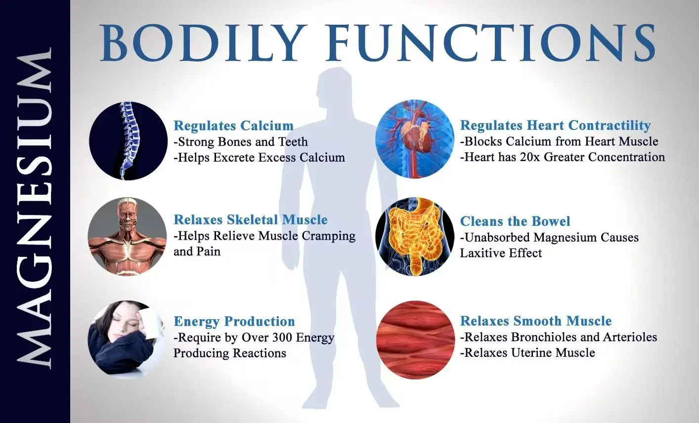 Magnesium Threonate Powder Benefits 