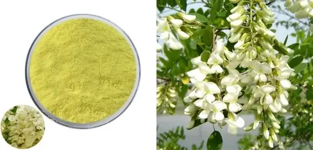 rutin powder