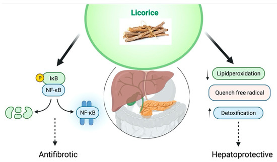 Licorice extract and detoxification Licorice extract and detoxification