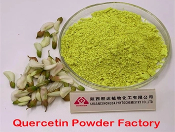 China High-Quality Quercetin Powder Manufacturers China High-Quality Quercetin Powder Manufacturers