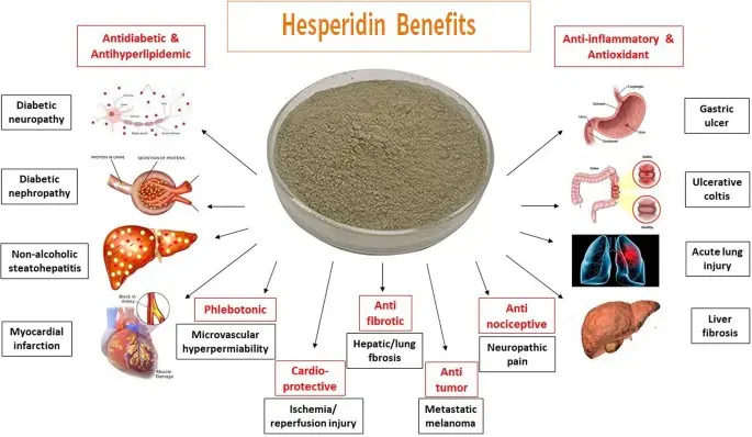 Hesperidin Benefits Hesperidin Benefits