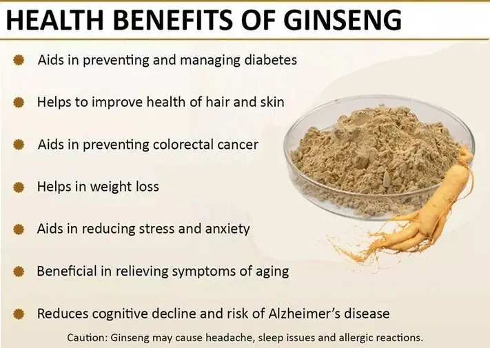 Ginseng root extract benefits Ginseng root extract benefits