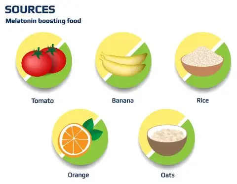 Melatonin Source