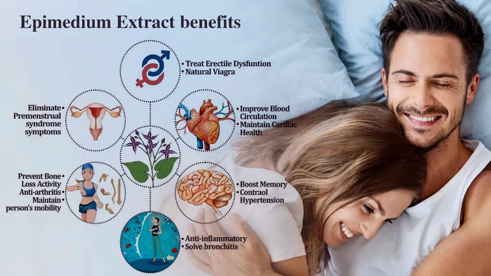Icariin benifit 1 Icariin benifit 1