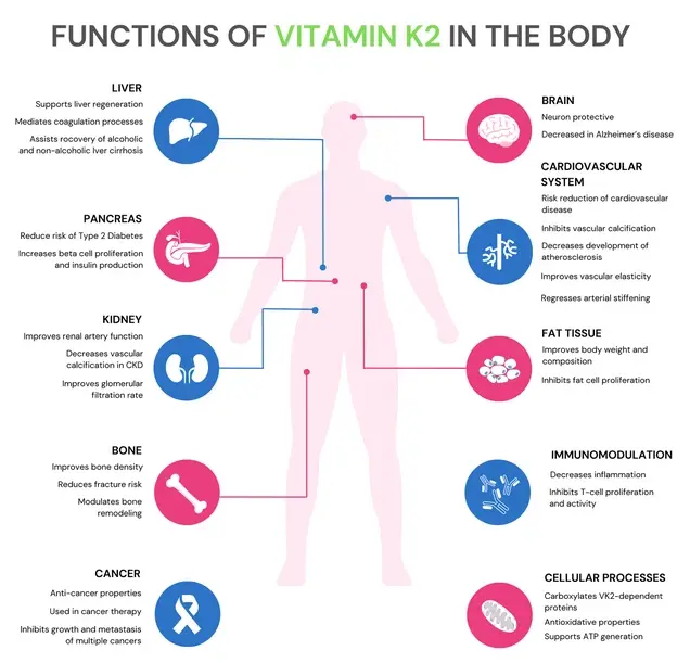 vitamin k2 mk 7 benefits
