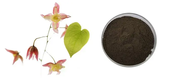 Epimedium extract powder Epimedium extract powder