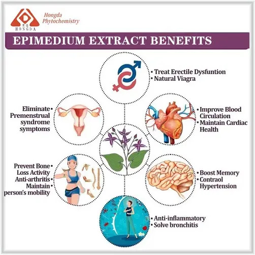 Epimedium Extract benefits Epimedium Extract benefits