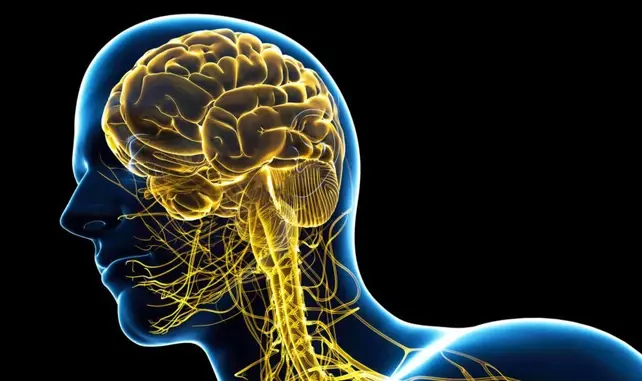 Glucoraphanin Health Benefits