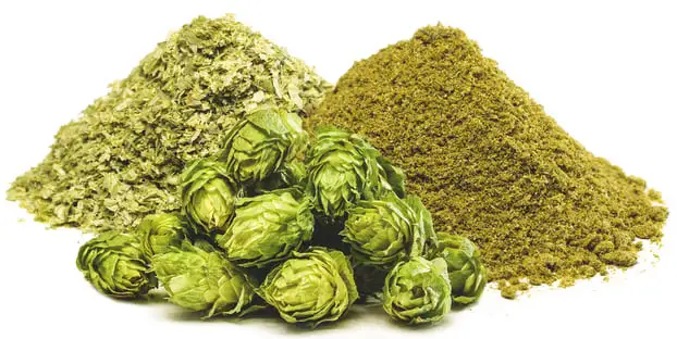 Hops extract powder