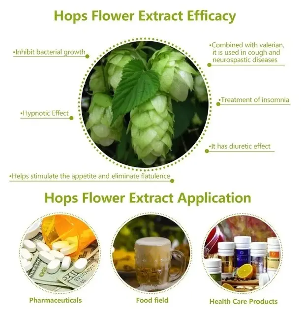 Hops flower powder benefits
