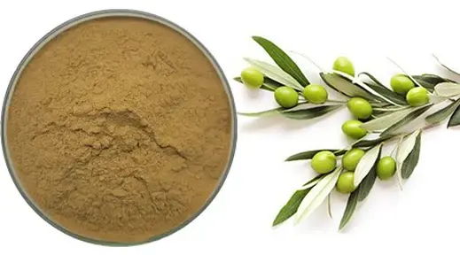 Olive extract Tyrosol Supplier hydroxytyrosol