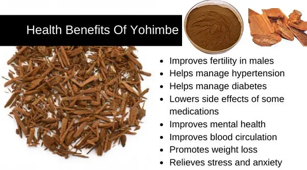 Yohimbe bark powder benefits 