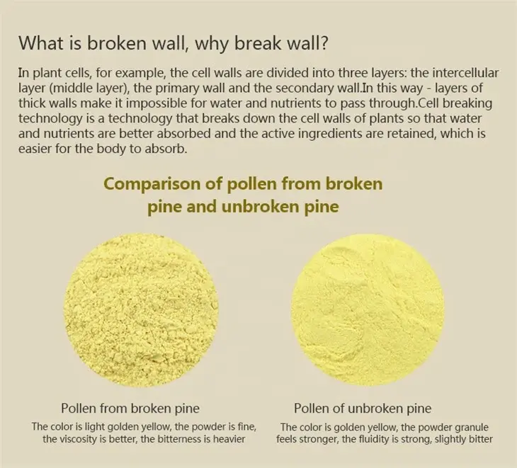 Best pine pollen powder 1 Best pine pollen powder 1