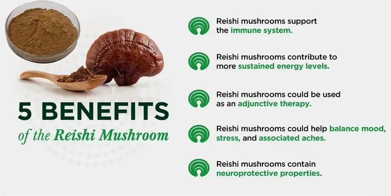 reishi mushroom extract benefits