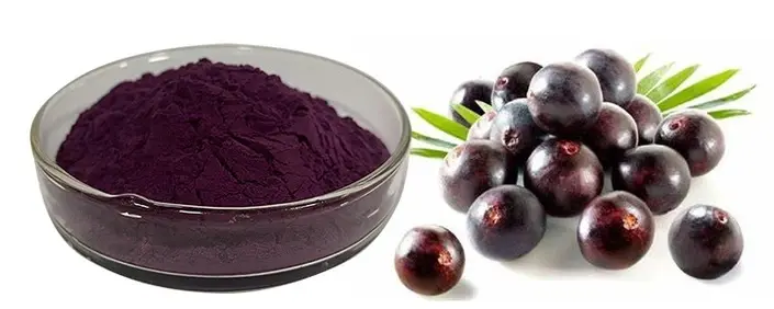 Acai berry powder 